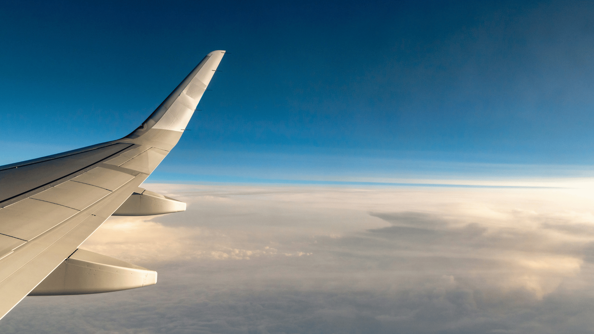 ZF Travels